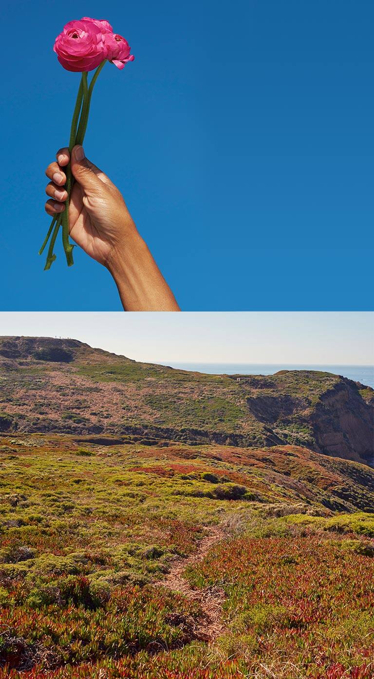 Better Republic. Background Image