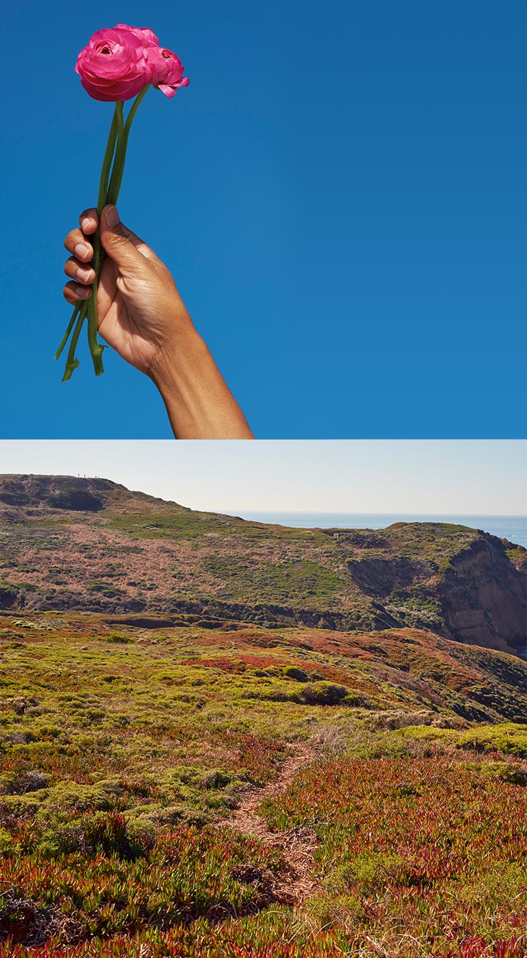 Better Republic. Background Image