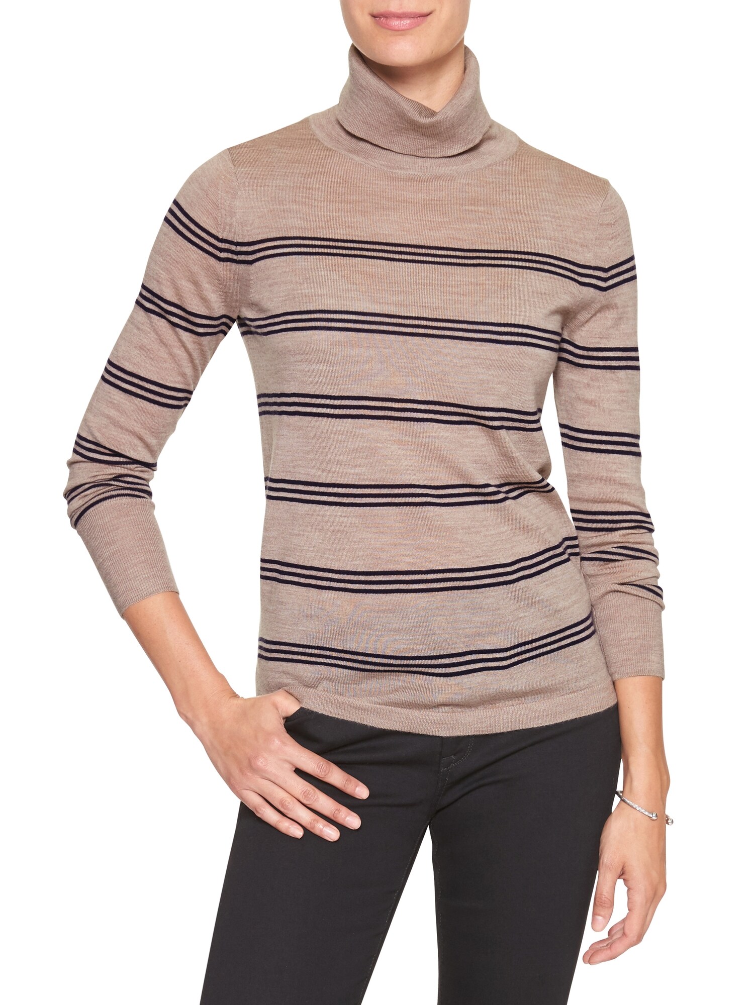 Machine Washable Merino Striped Wool Turtleneck Banana Republic Factory