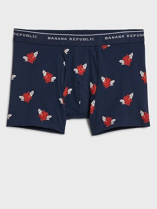 Boxer Briefs Banana Republic Factory