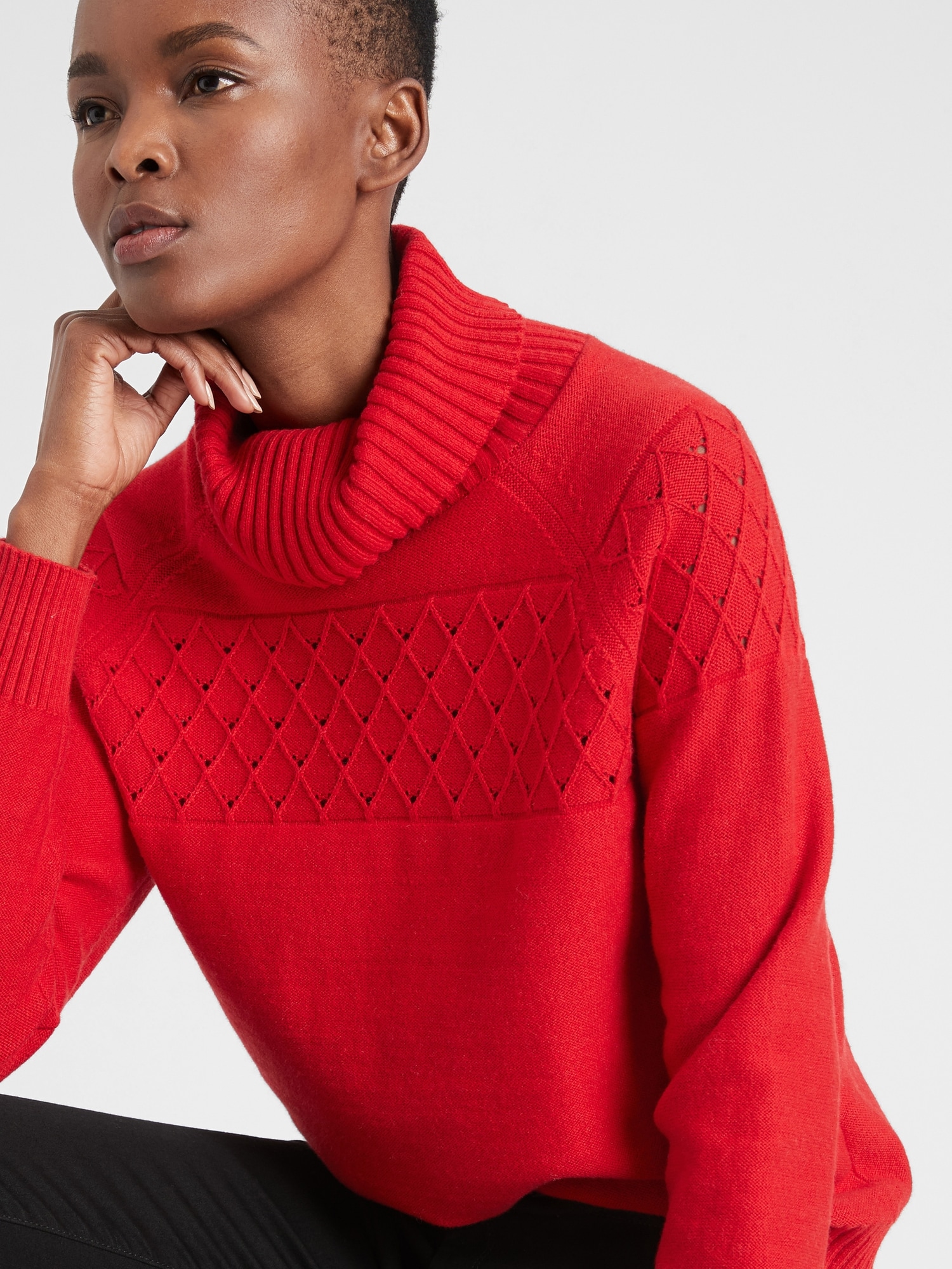 Pointelle turtleneck hot sale