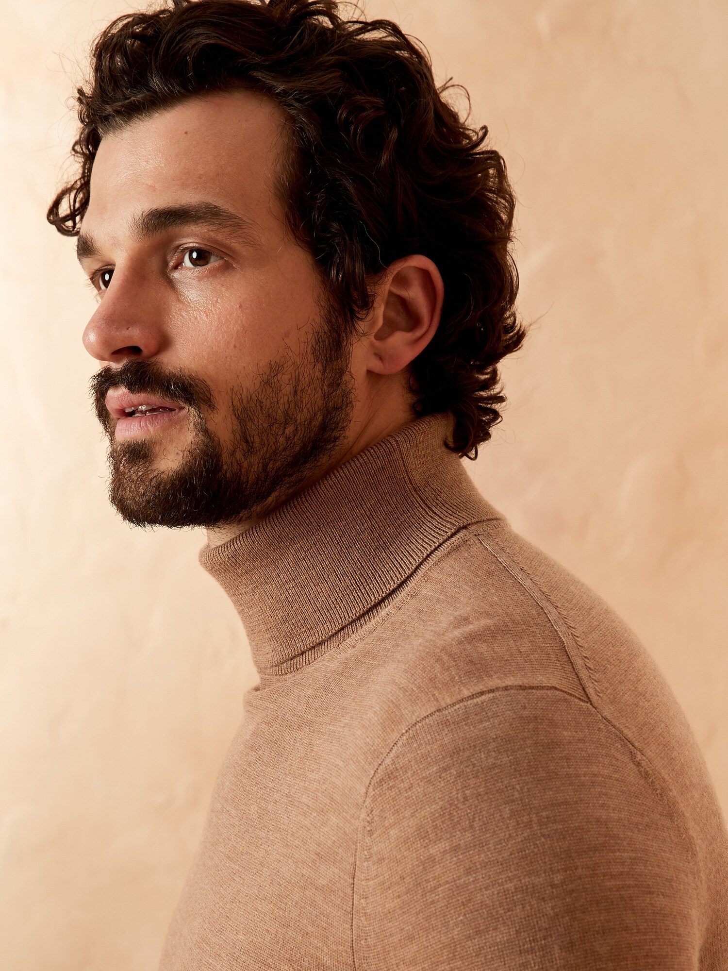 Merino Wool Turtleneck Sweater | Banana Republic Factory