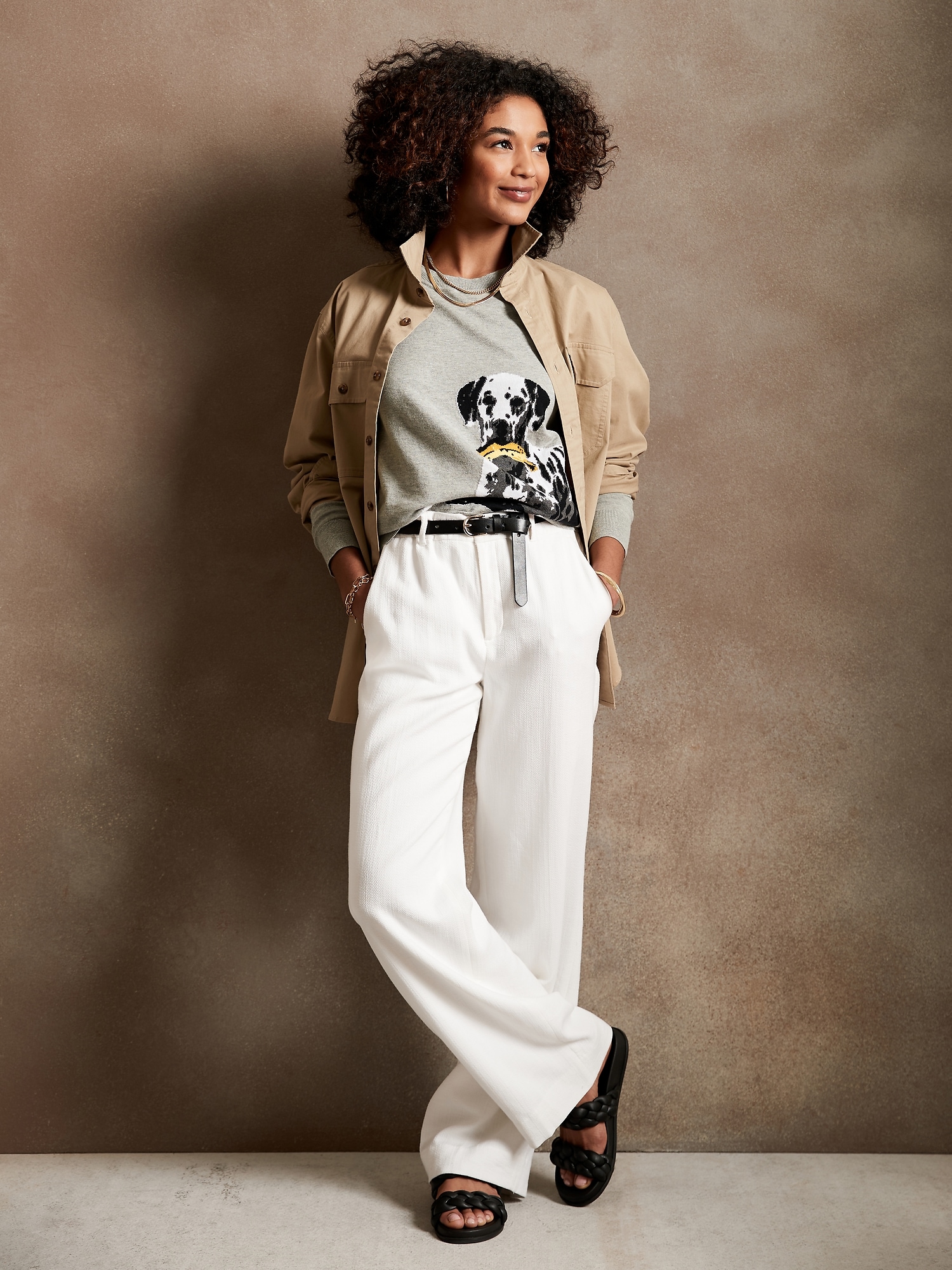 Dog Intarsia Sweater Banana Republic Factory