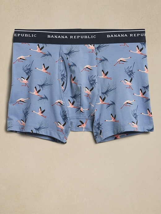 Boxer Briefs Banana Republic Factory
