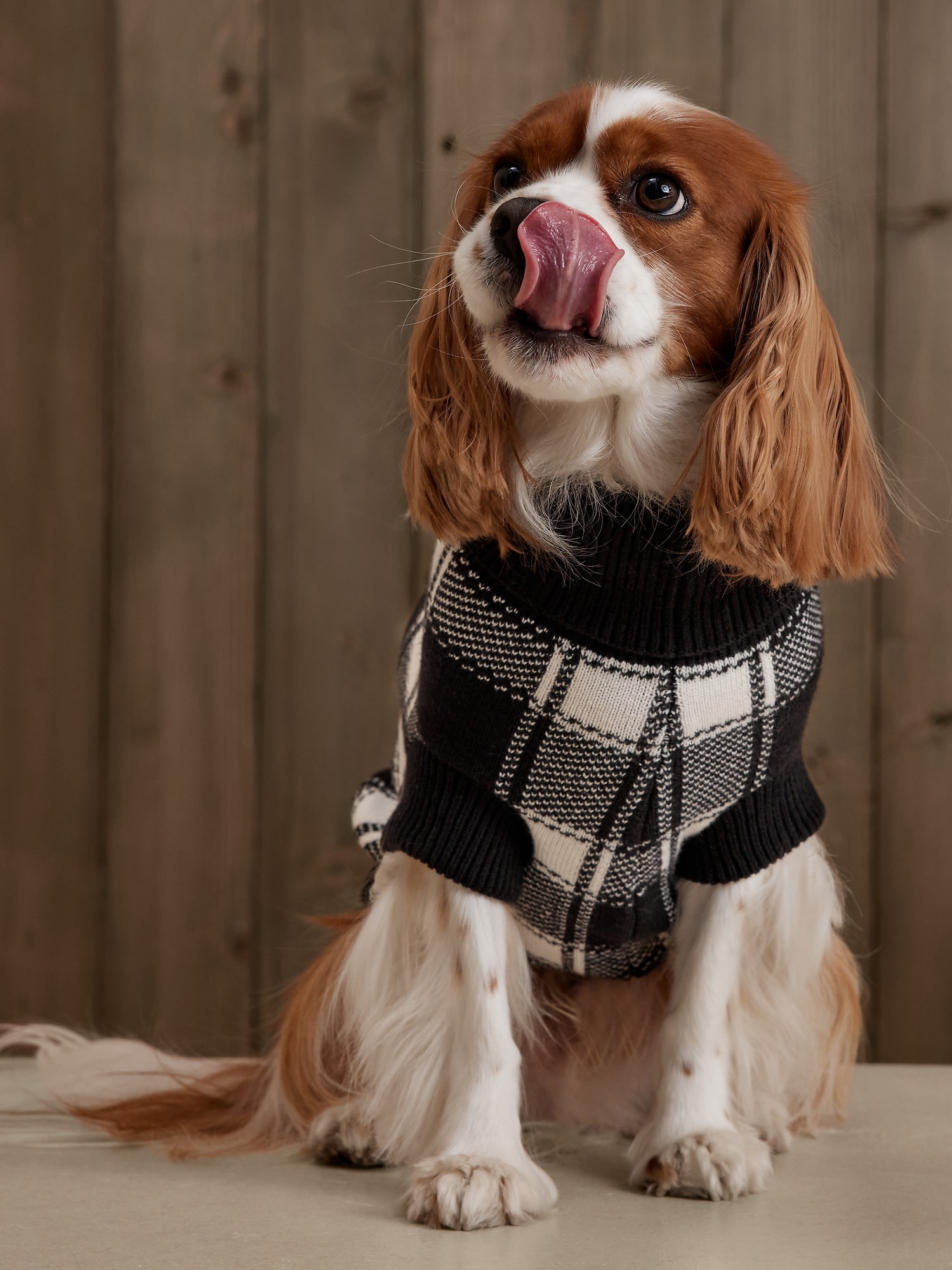 Windowpane Dog Sweater