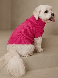 Cable Dog Sweater