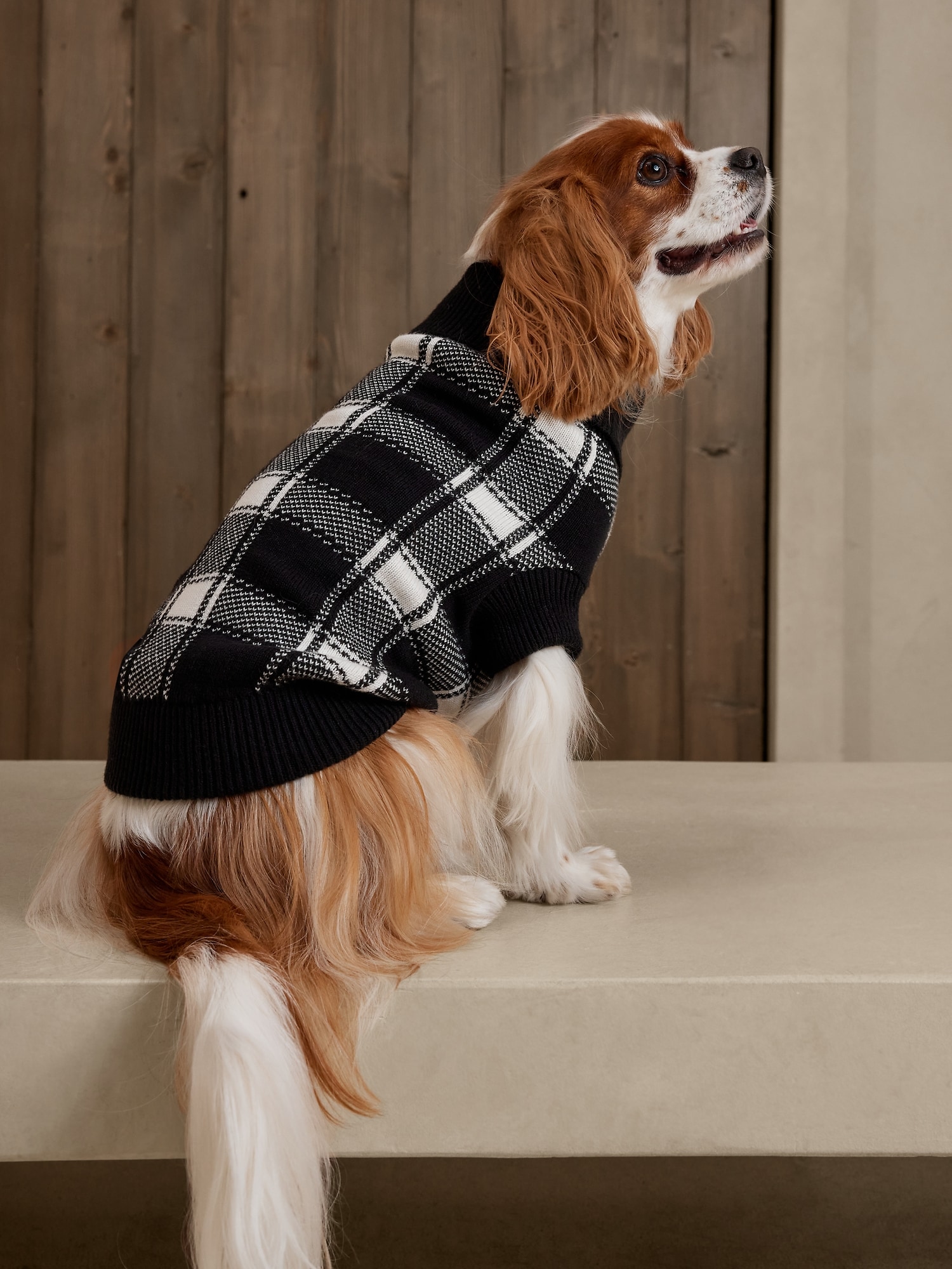 Windowpane Dog Sweater | Banana Republic Factory