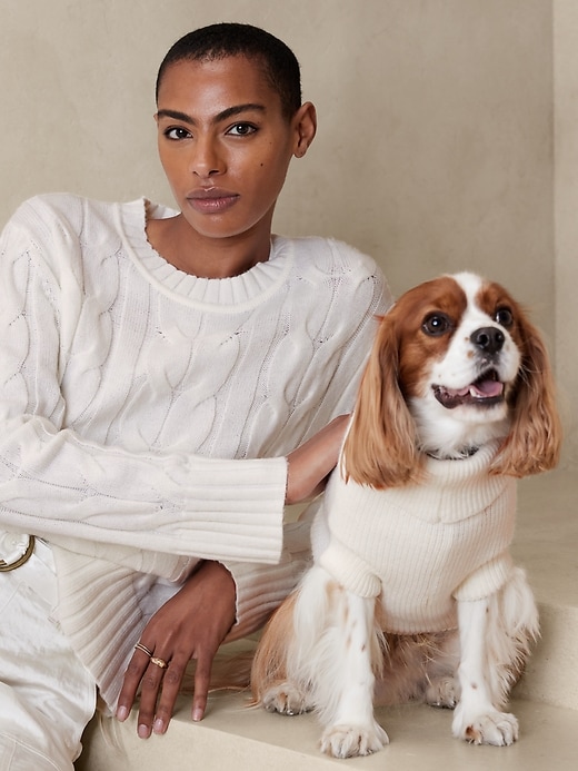 Cable Dog Sweater