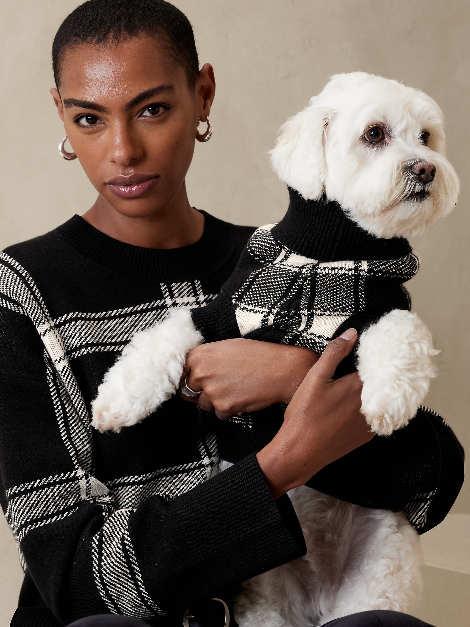 Windowpane Dog Sweater