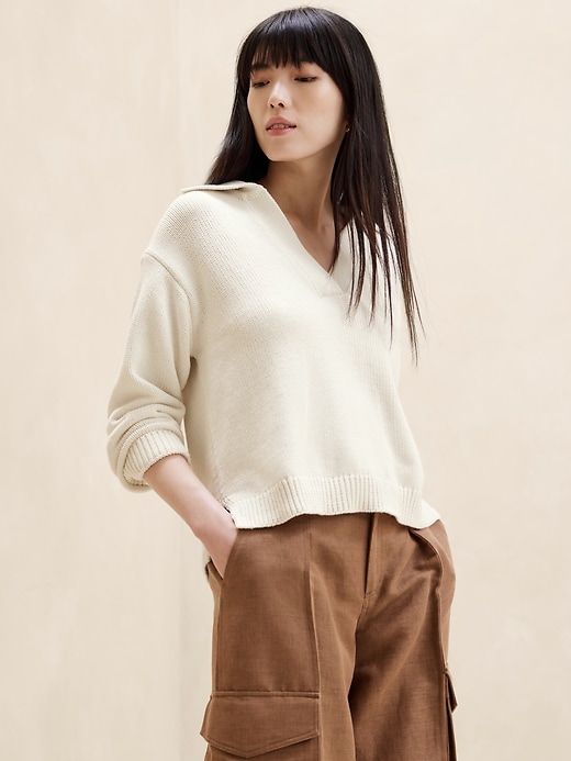 Textured Johnny-Collar Sweater | Banana Republic Factory