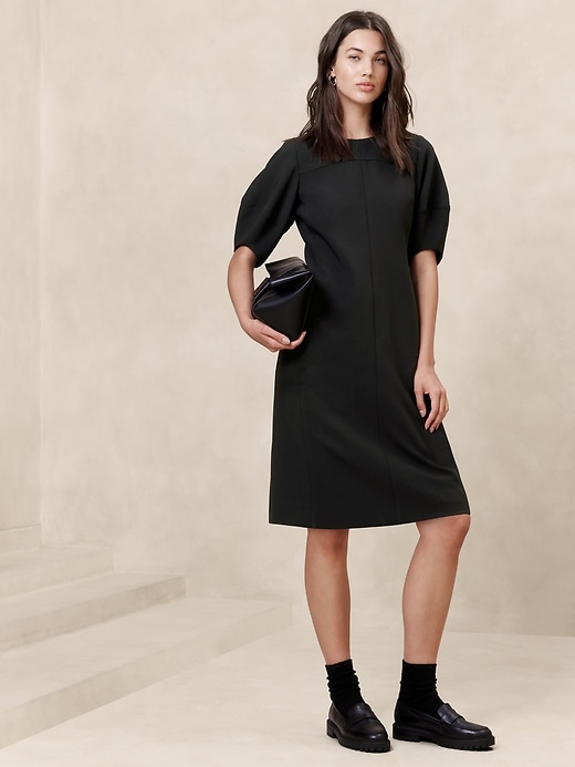 Lantern-Sleeve Knee-Length Dress