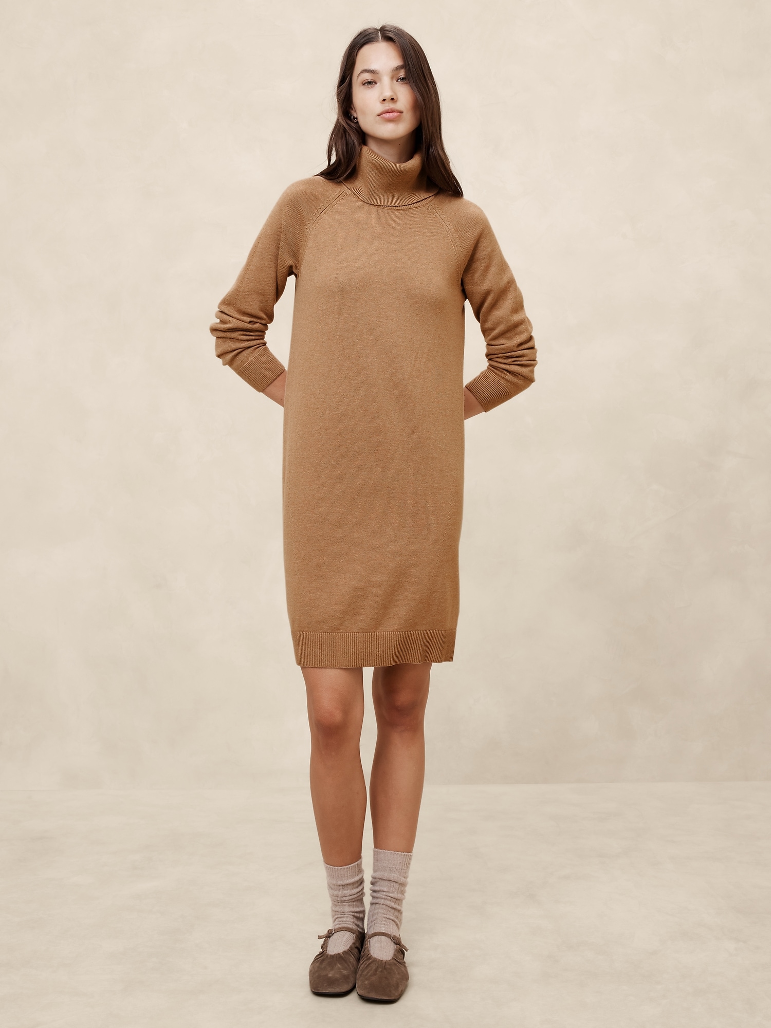 Turtle-Neck Sweater Dress - Brown