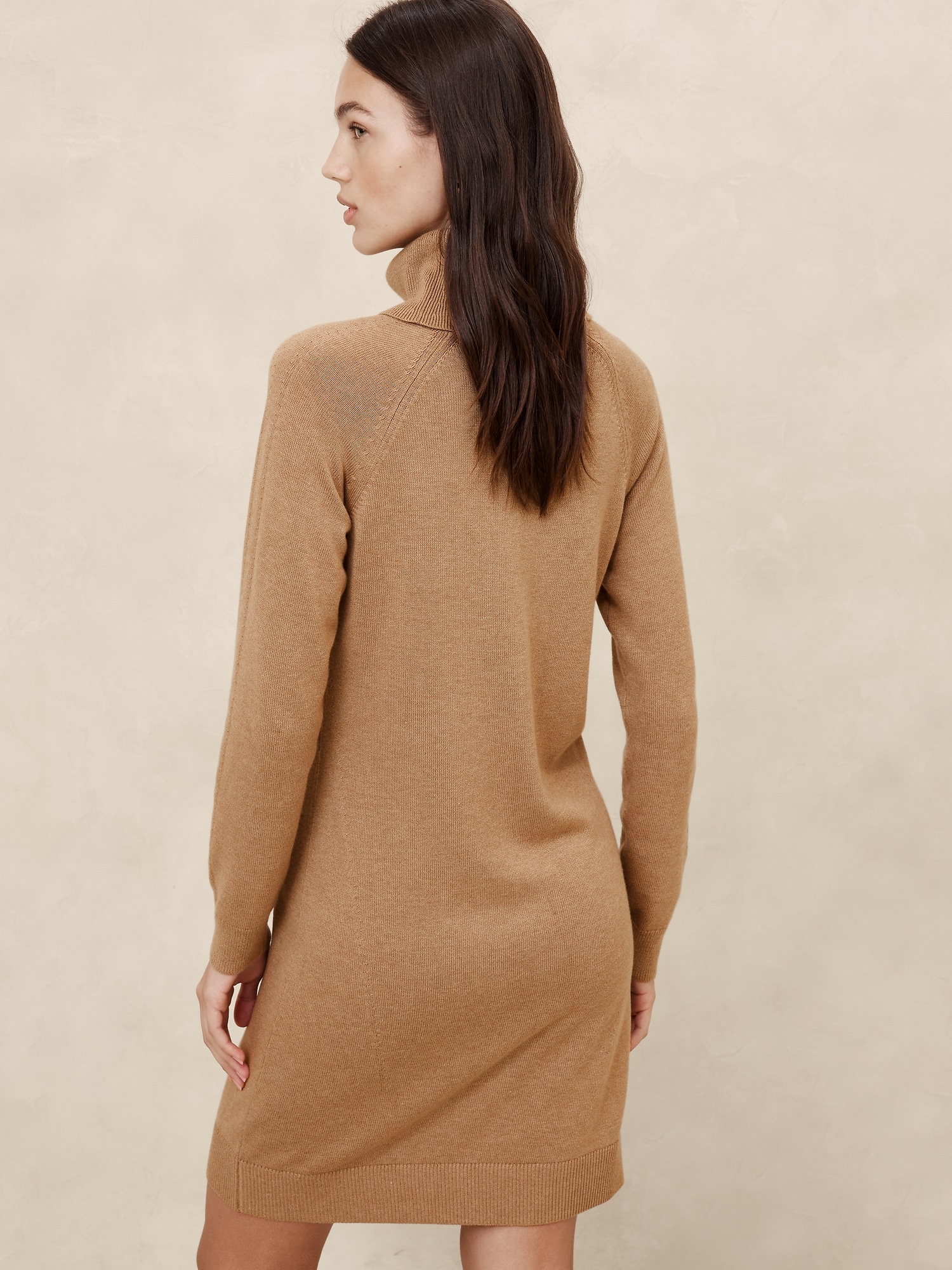 Turtle-Neck Sweater Dress