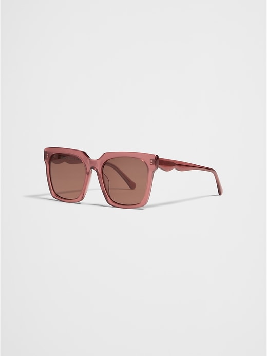 Wayfarer Sunglasses