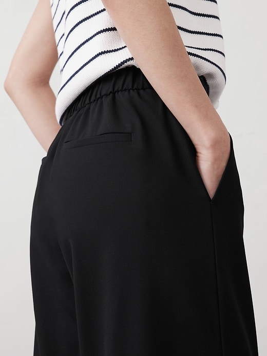 Hayden Wide-Leg Pant | Banana Republic Factory