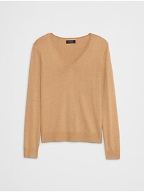 Forever V-Neck Sweater