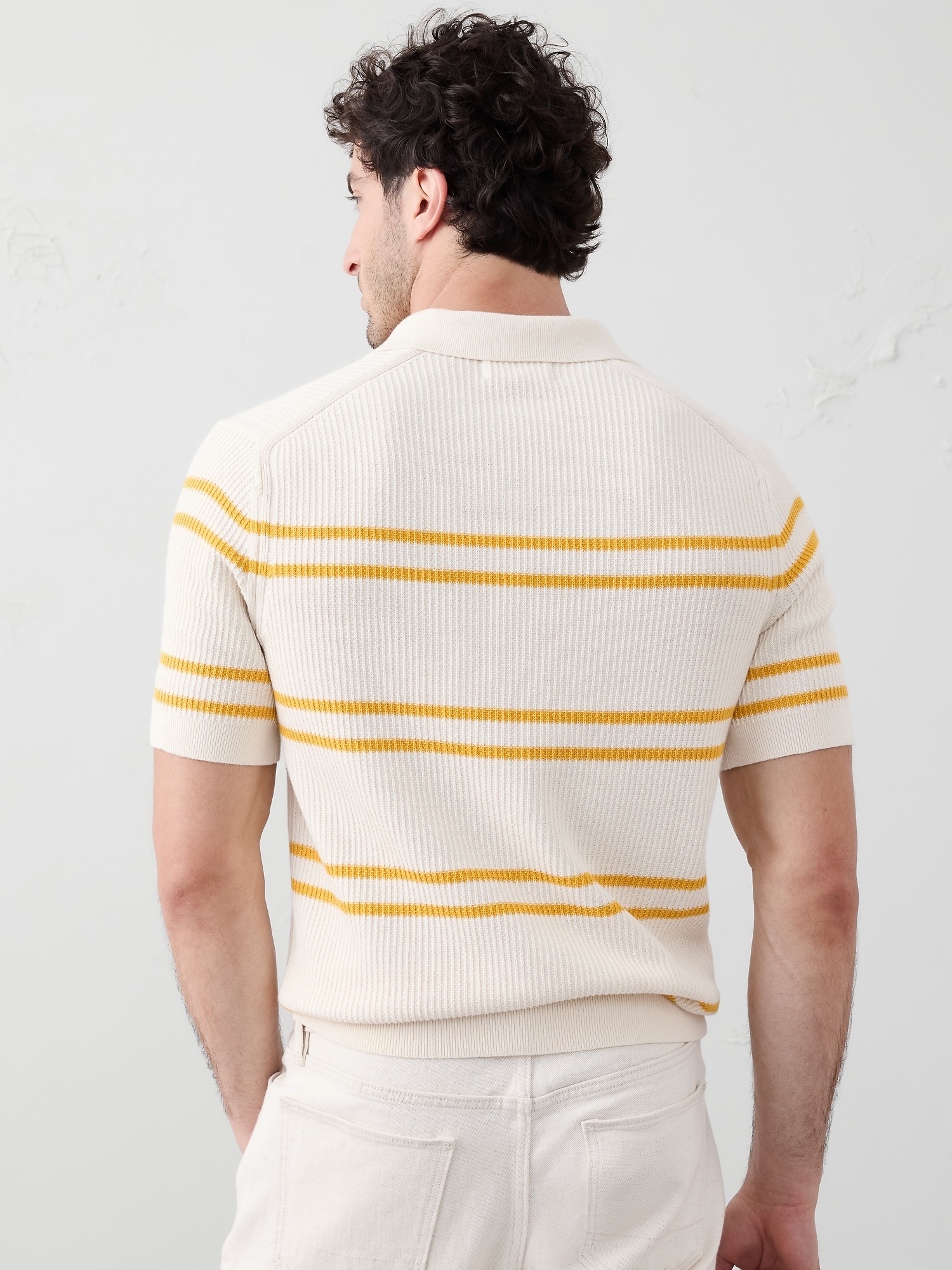 Refined Johnny-Collar Polo