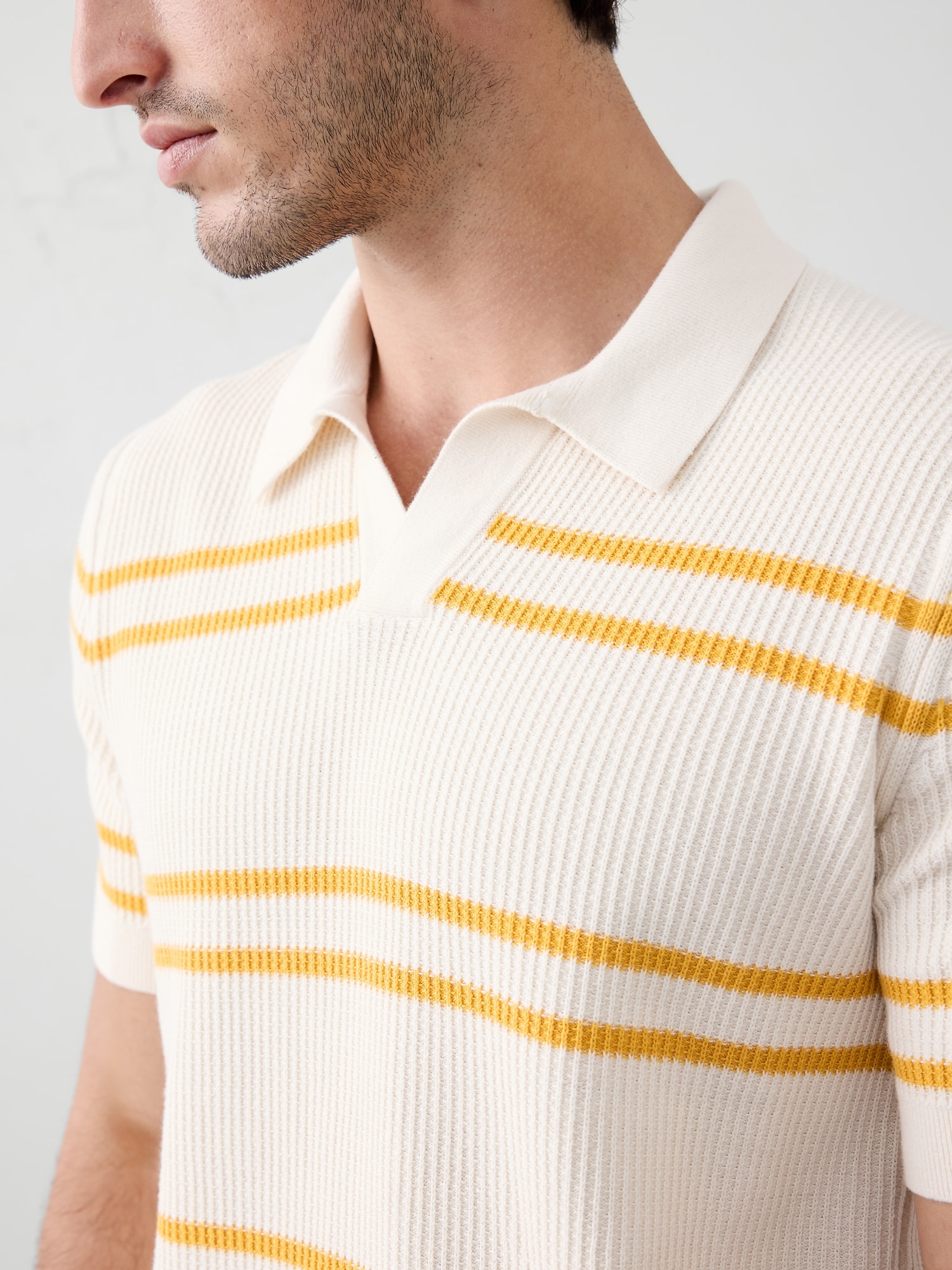 Refined Johnny-Collar Polo