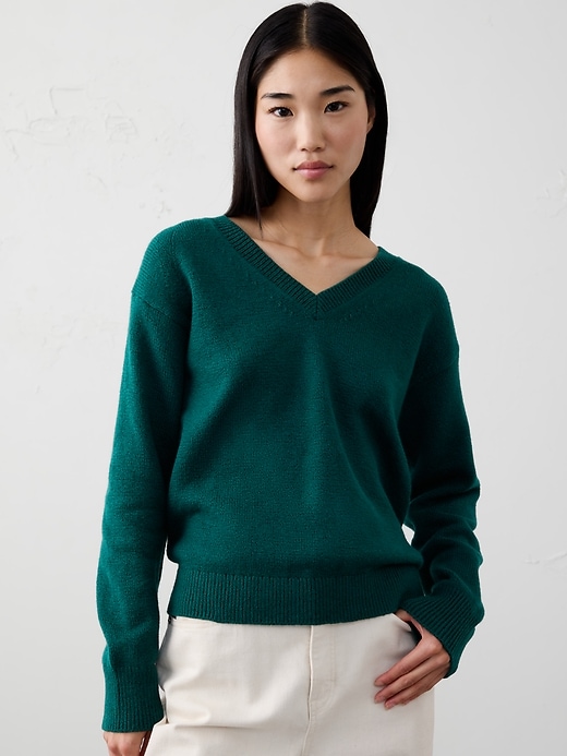 Coveted V-Neck Sweater | Banana Republic Factory
