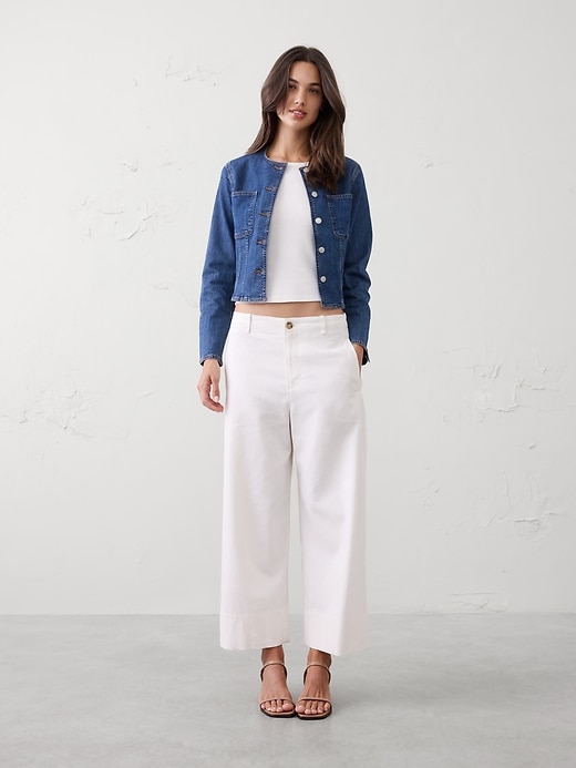 Wide-Leg High-Rise Stripe Linen-Blend Cropped Pant | Banana